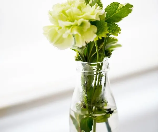 Inn Darlington Arms By The Airport - Free Parking -bar & Food Redhill (Somerset)