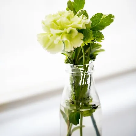 Estalagem Darlington Arms By The Airport Redhill (Somerset)