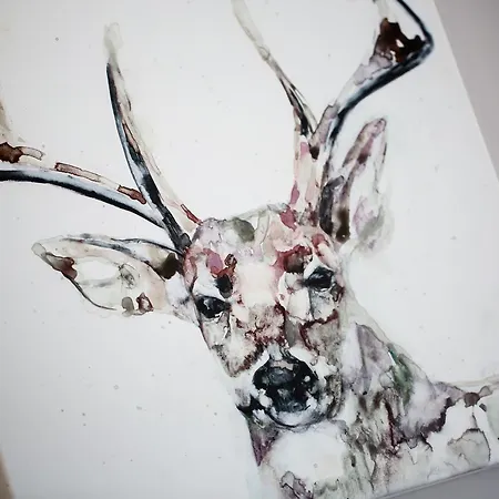 Darlington Arms By The Airport Estalagem Redhill (Somerset)